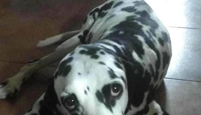 Agroveterinaria El Cimarron Ubicacion - Joaquín Suárez