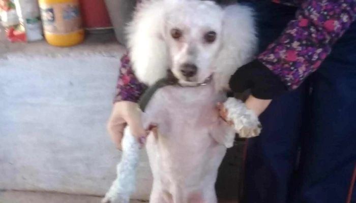 Agroveterinaria El Parque -  Como Llegar - Villa Crespo y San Andrés