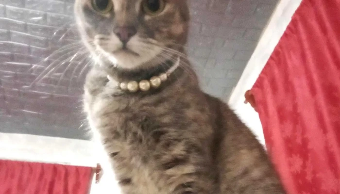 Agroveterinaria El Parque -  Sitio Web - Villa Crespo y San Andrés