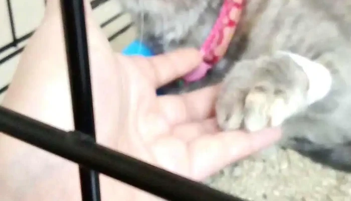 Agroveterinaria El Parque -  Videos - Villa Crespo y San Andrés