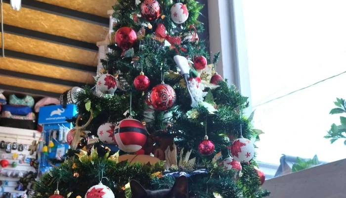 Agroveterinaria Los Estribos -  Horario - Progreso