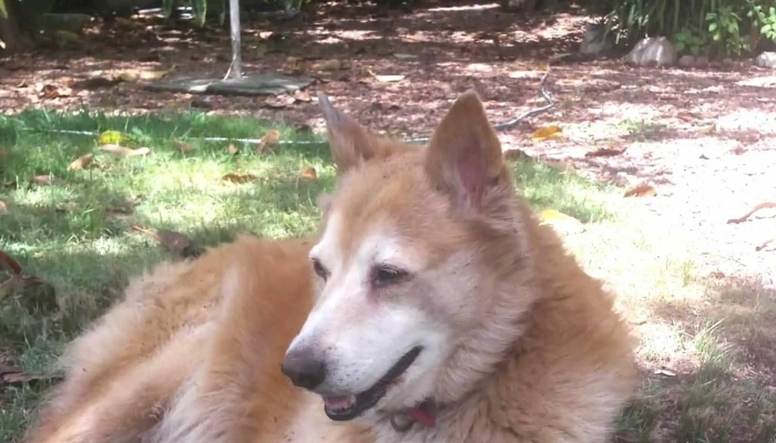 Agroveterinaria Los Estribos - Progreso