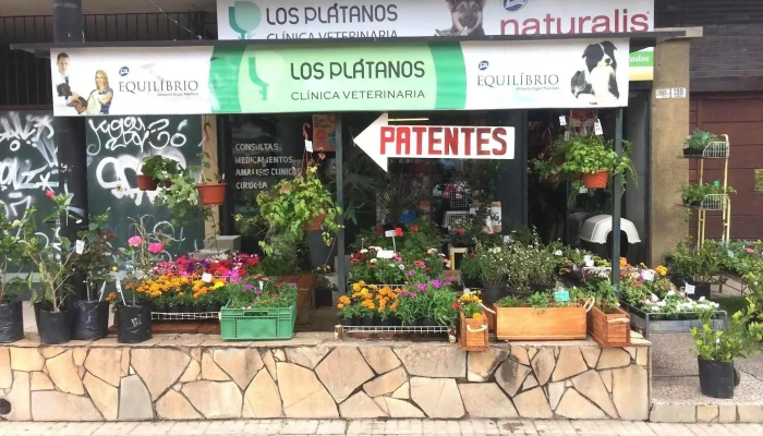 Agroveterinaria Los Plátanos - 11600 Montevideo