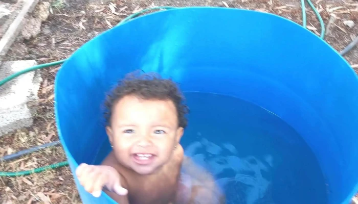 Agroveterinaria Sauce -  Instagram - Sauce