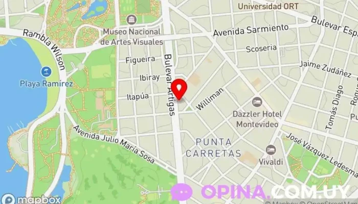 mapa de Agustina Century 21 369 Agencia inmobiliaria en Montevideo