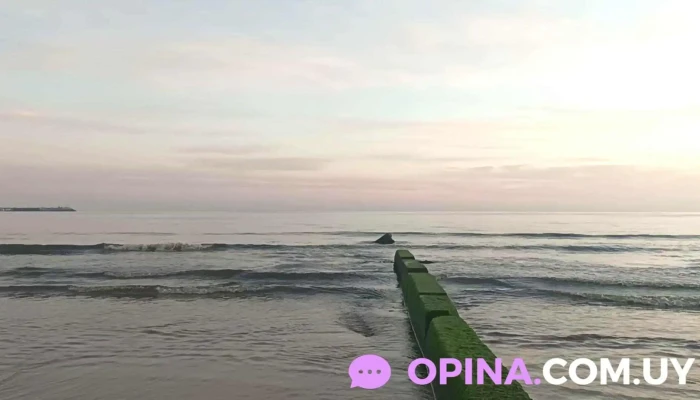 Ahara Spa Holistico Videos - Piriápolis