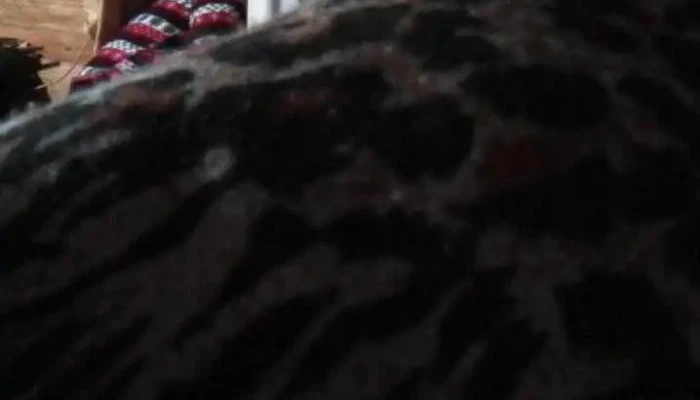 Ahorro Express Juan Lacaze -  Interior - Juan L. Lacaze