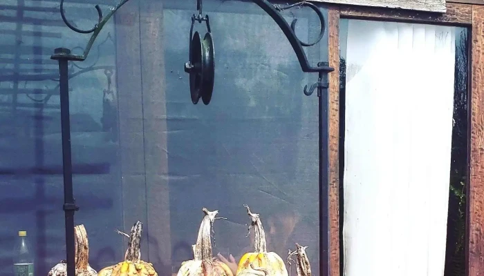 Aigua Bb Lo De Cristina Alimento - Aiguá