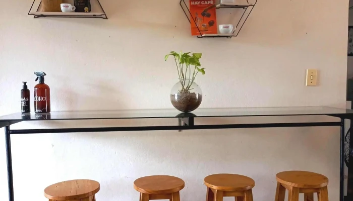 Al Fyn Cafe Ambiente - Young