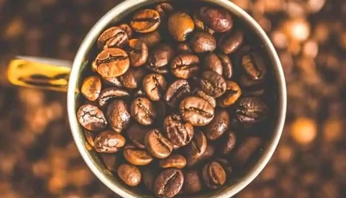 Al Fyn Cafe Cafe - Young