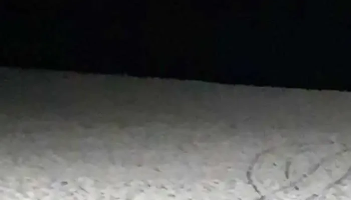 Al Mar Restaurante -  Videos - Maldonado