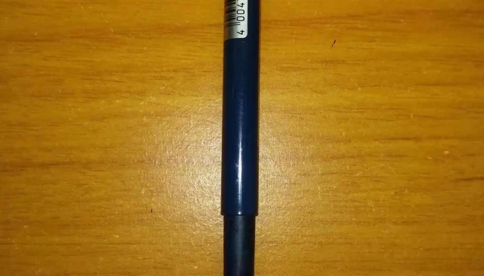 Alberto Gandulia -  Interior - Montevideo