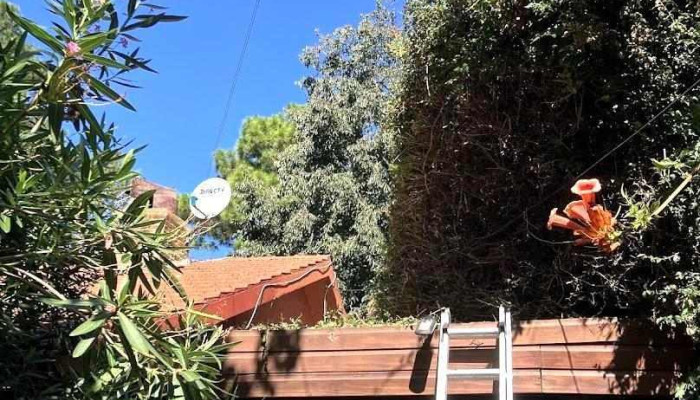 Alberto Prandi Propiedades - Maldonado