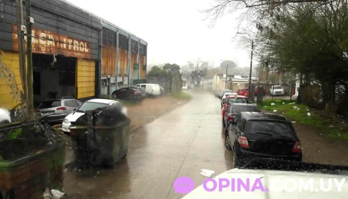 Alcalitrol Sa - 12000 Montevideo