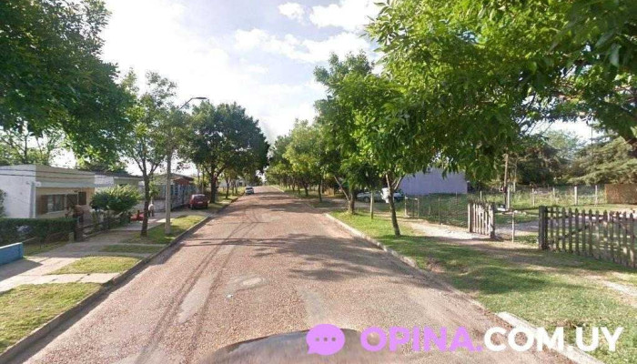 Alejandra da Costa - 65100 Young