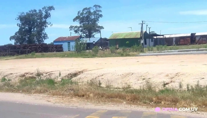 Alejandro Gallinal -  Videos - Alejandro Gallinal