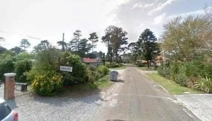 Alianza Maldonado -  Catalogodeg - Punta del Este