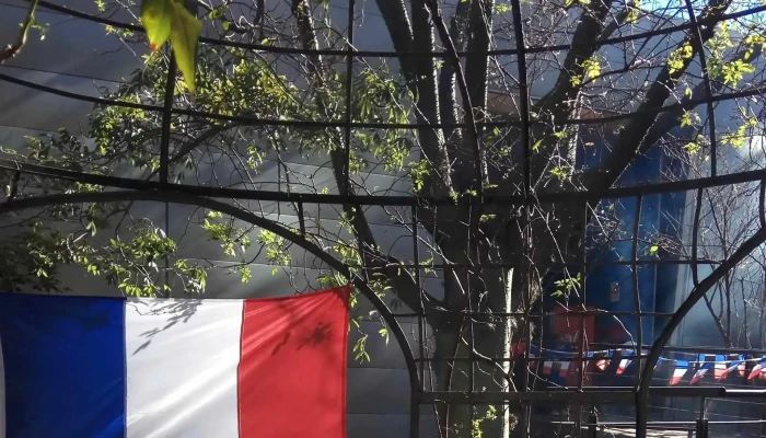 Alliance Francaise De Montevideo Direccion - Montevideo