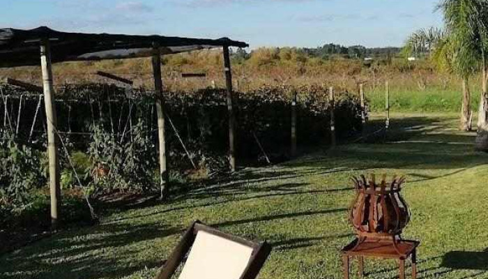 Alma De Gloria Casa De Te Videos - Las Piedras