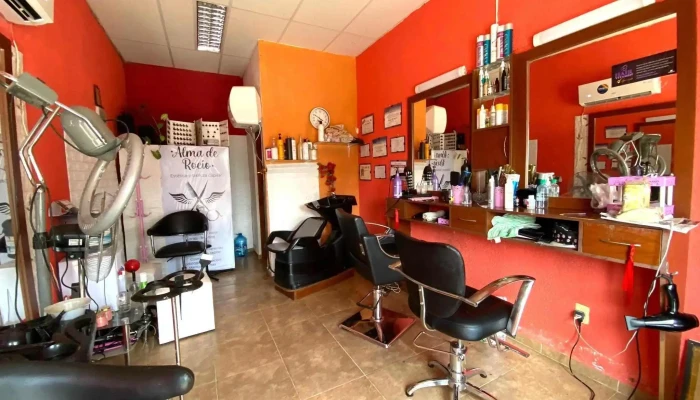 Alma de Rocío - Cayetano González