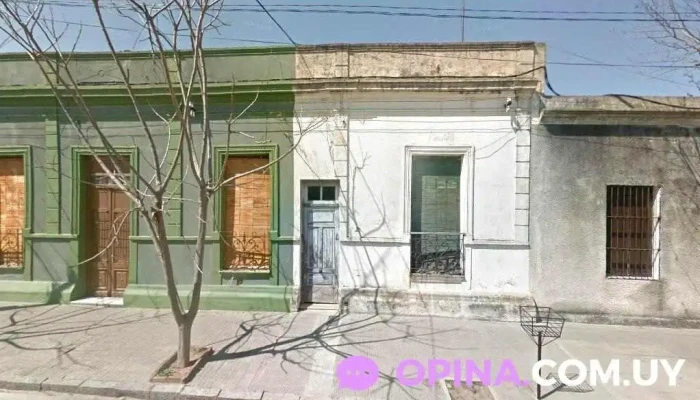 almacén del pelado - 94000 Florida