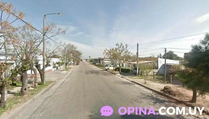 Almacén el chavi - 94000 Florida