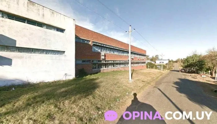 Almacén Nico - Andres Rebufat