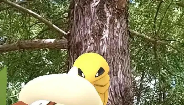 Almacén Toro - 70000 Col. Del Sacramento