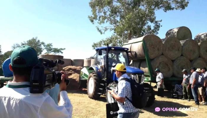 Almacen Videos - Santa Catalina