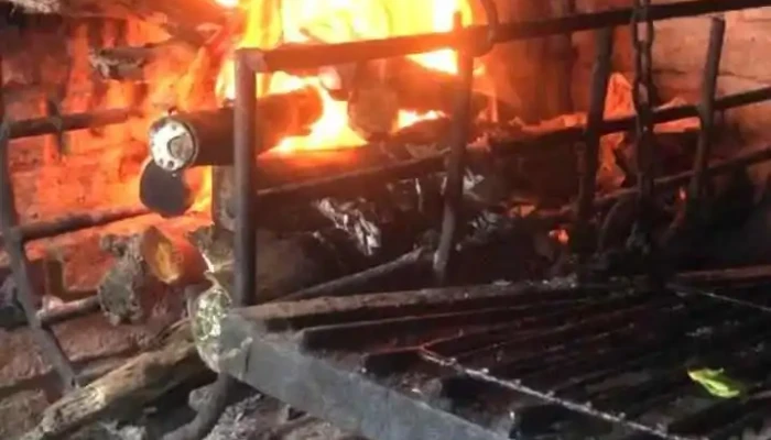 Almacen Y Bar Nica Videos - Estación Tapia