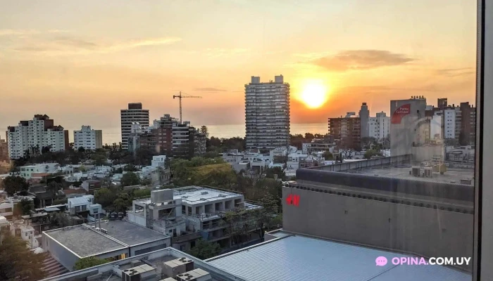 Aloft Montevideo Hotel -  Todas - Montevideo