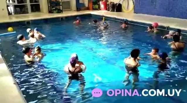 Alpha Sport Performance -  Del Propietario - Maldonado