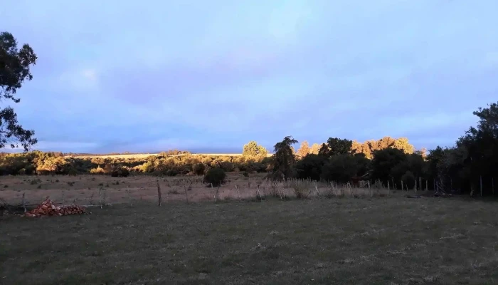 Alquilo Habitacion Con Muebles -  De Los Visitantes - San Carlos