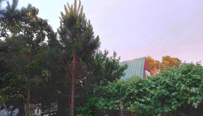 Alquilo Habitacion Con Muebles -  Del Propietario - San Carlos