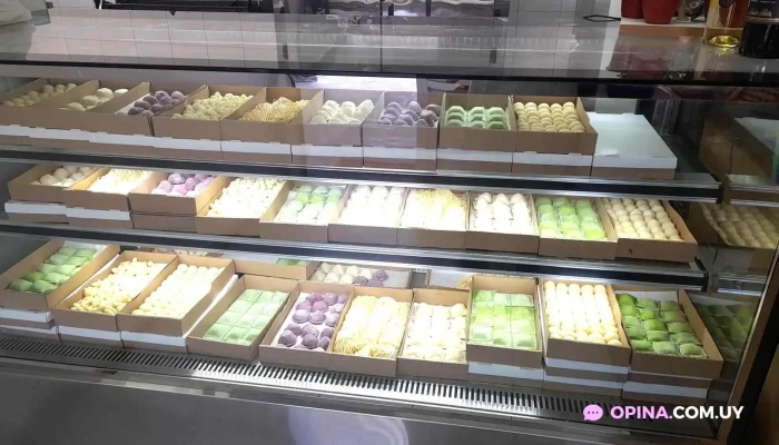 Alquimia Pasta A Mano Todas - Maldonado