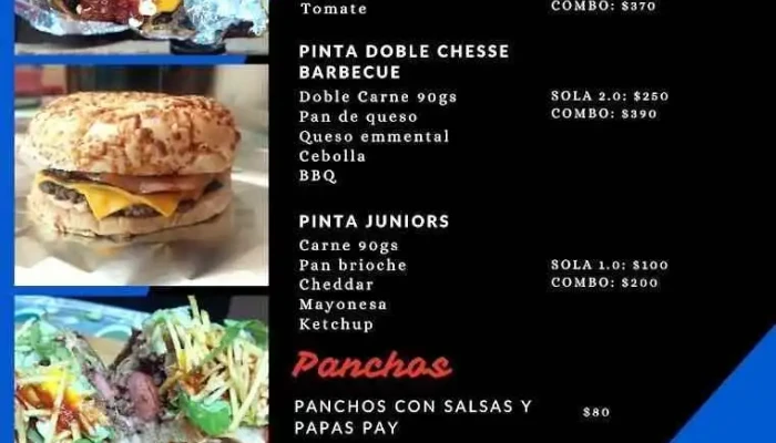 Alta Pinta Burgers Hamburguesa - Ciudad del Plata