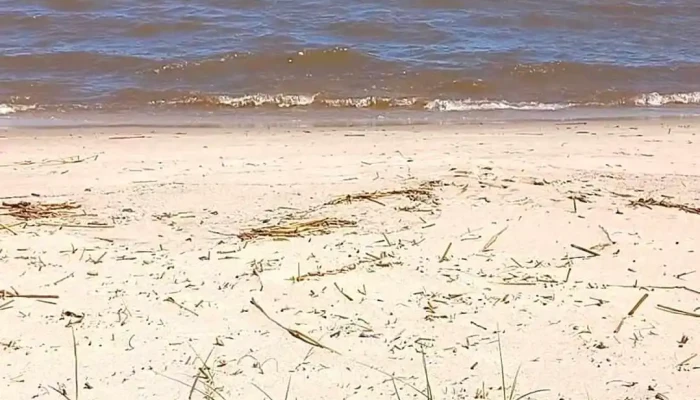 Altos Del Plata -  Videos - Col. del Sacramento