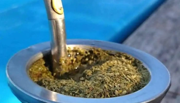 Aluc -  Comida Y Bebida - Chuy