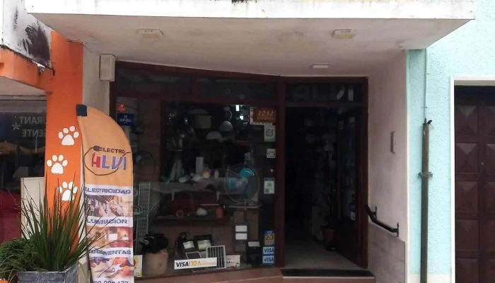 Alvi - 27200 Castillos