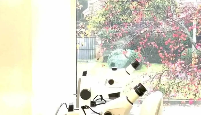 Alvi Armani Uruguay -  Del Propietario - Montevideo