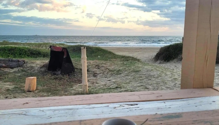 Amado Sugar -  Cafe - Las Piedras