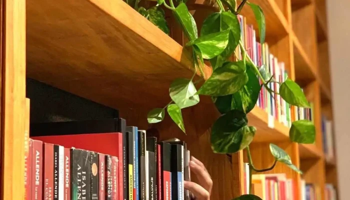 Amazonia -    Espacio Entre Libros Interior - Montevideo