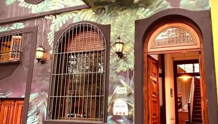 Amazonia - Espacio entre libros - Montevideo