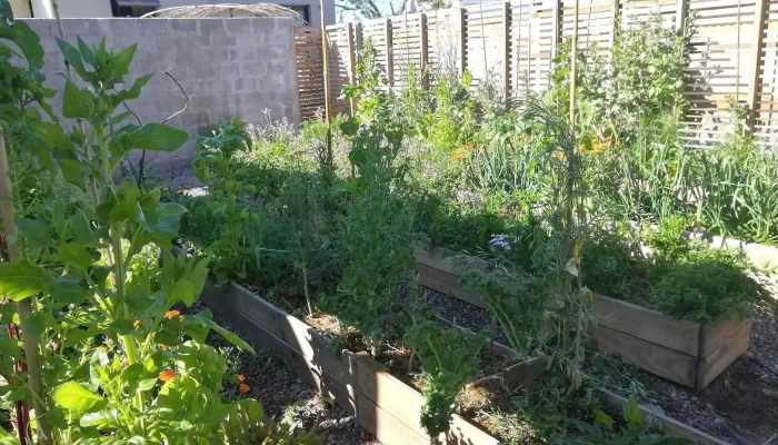 Ambar Posada -  De Los Visitantes - Aiguá