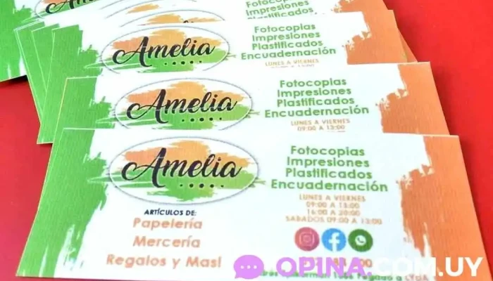 Amelia Papeleria Del Propietario - Treinta y Tres