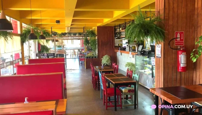 America Videos - Tacuarembó