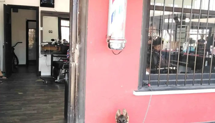 American Barbershop - 12900 Montevideo