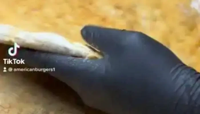 American Burgers -  Del Propietario - Montevideo