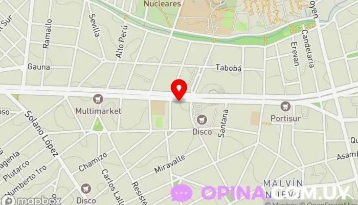 mapa de American Language Institute Academia de inglés en Montevideo