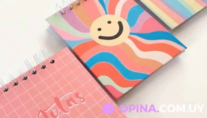 Amesti Papeleria Del Propietario - Libertad